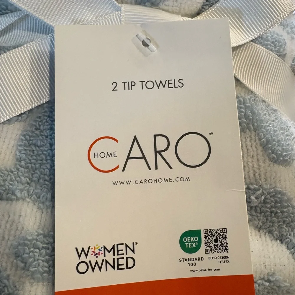 CARO HOME NWT 2pc medallion print fingertip hand towels -blue/white